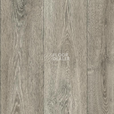 Линолеум IVC Porto SAUDER OAK W96 фото 1 | FLOORDEALER